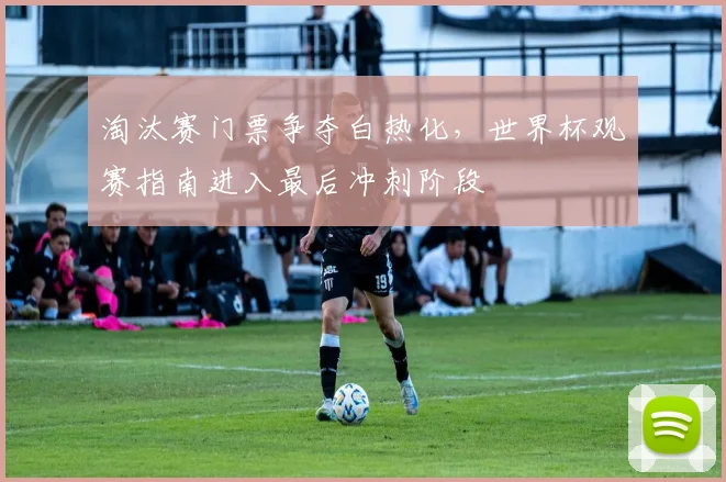 淘汰赛门票争夺白热化，世界杯观赛指南进入最后冲刺阶段