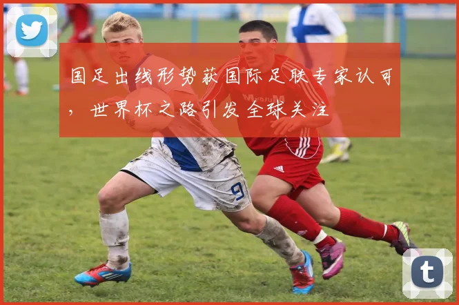 国足出线形势获国际足联专家认可，世界杯之路引发全球关注