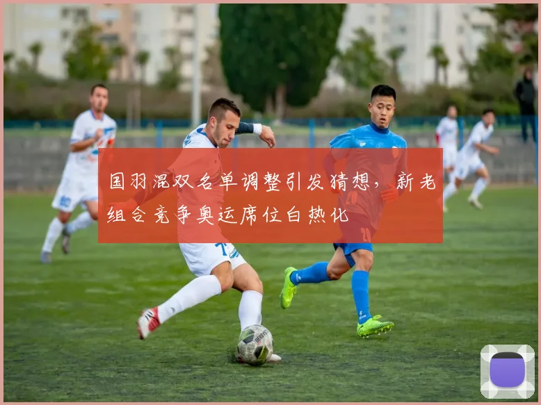 国羽混双名单调整引发猜想，新老组合竞争奥运席位白热化